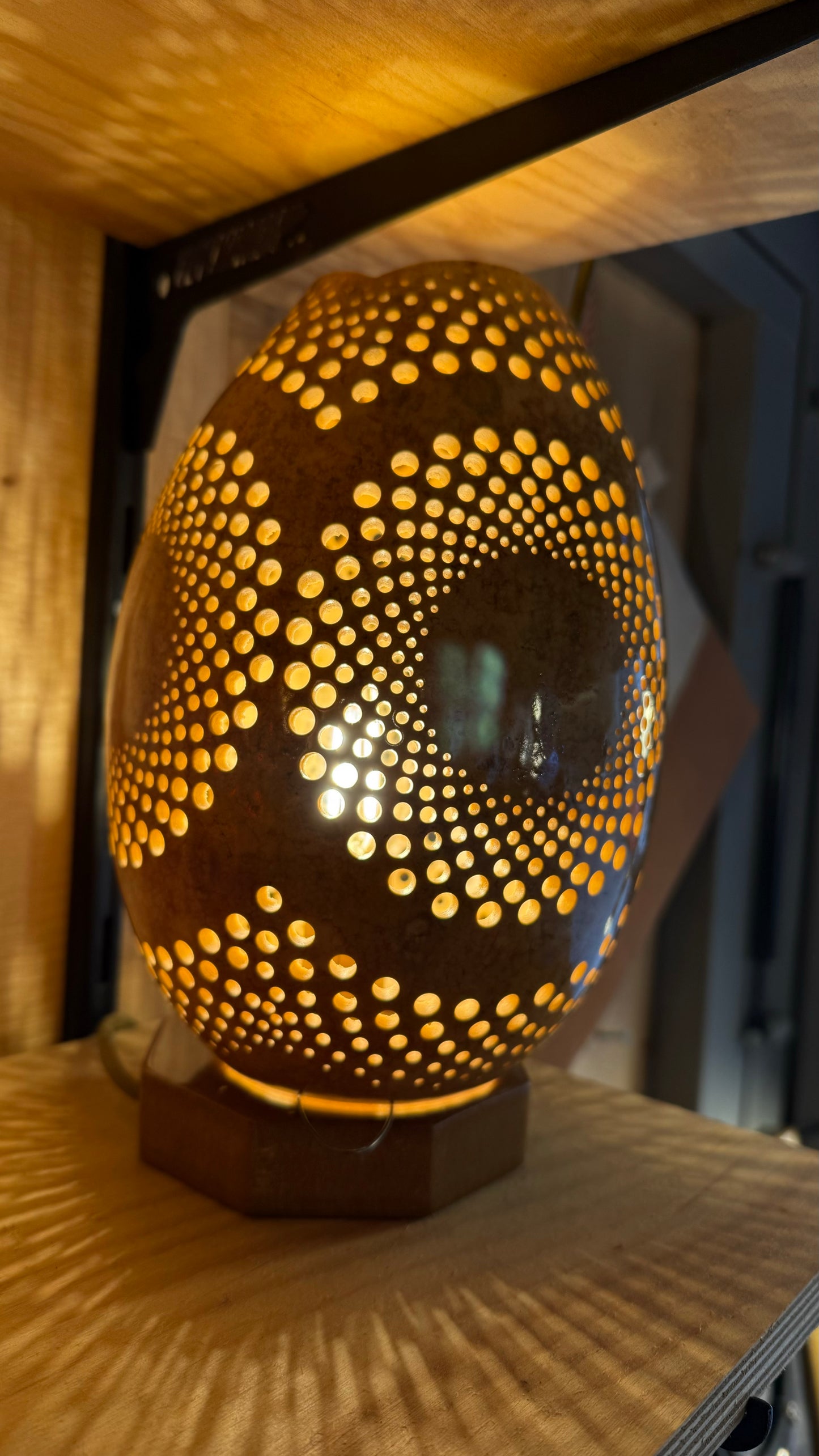 Nature's Beauty Gourd Lamp