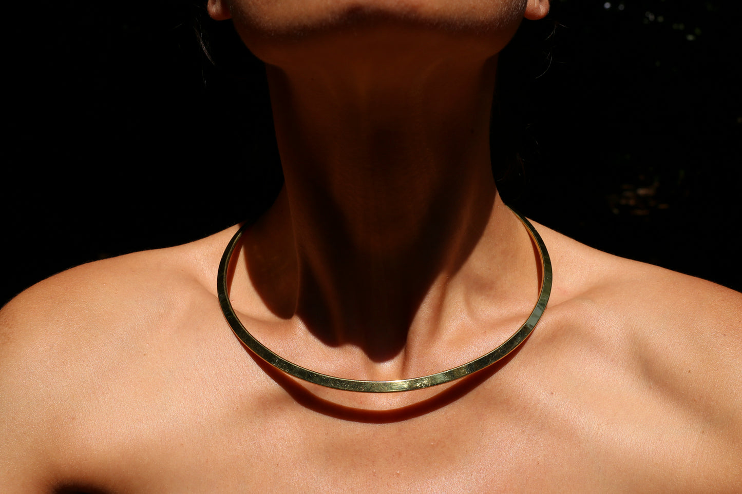 Brass Choker Necklace II