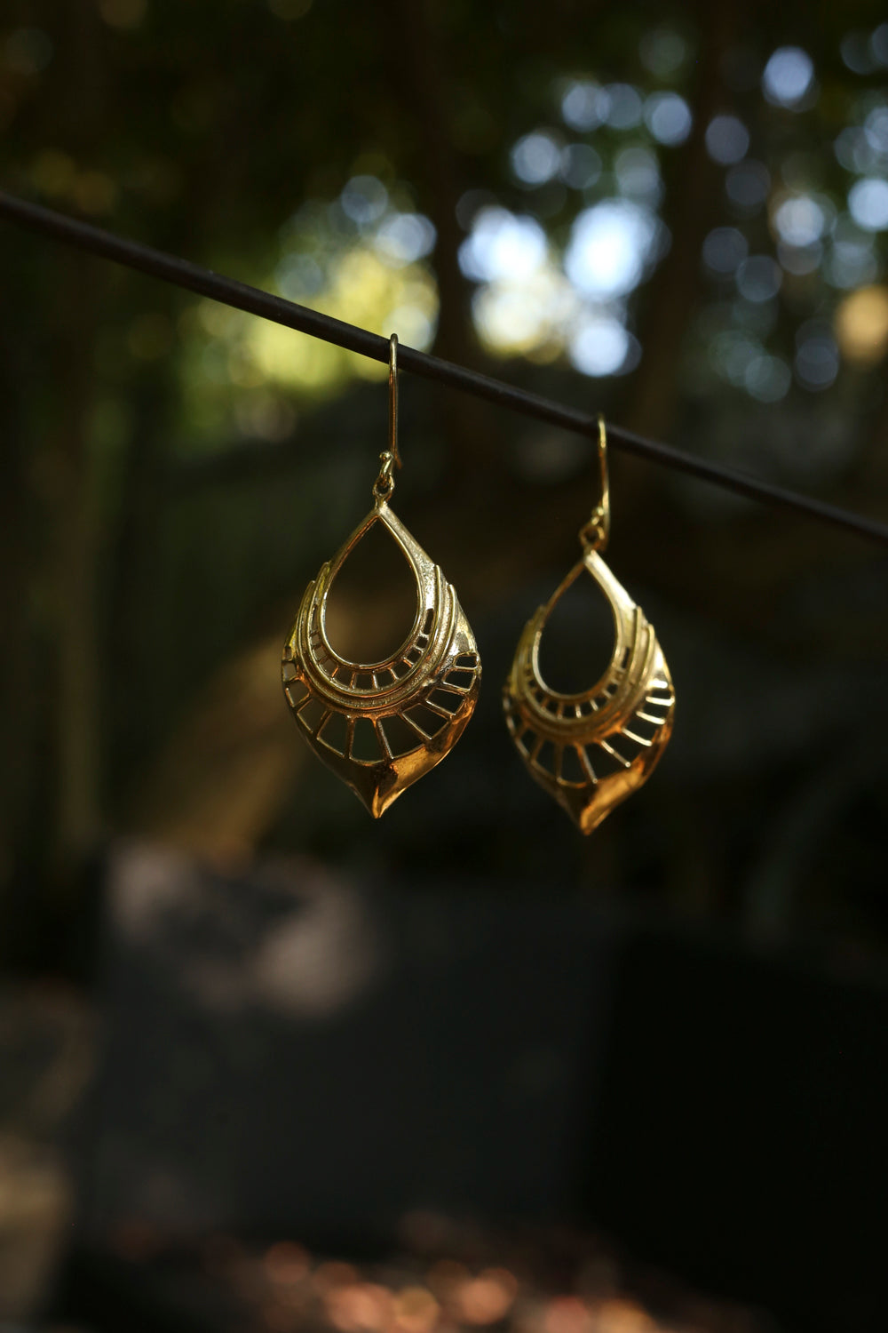 brass earrings hanging on a branch with a blurred natural background