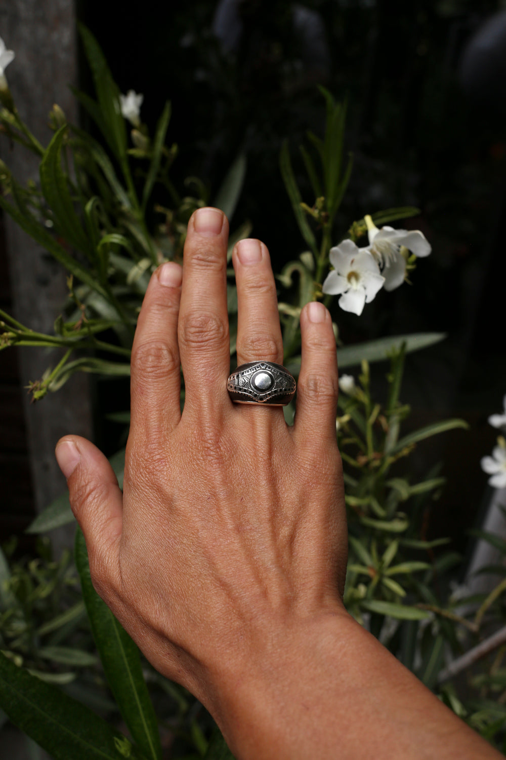 niger jewellery, silver ring, ebony, turang, dotisutra
