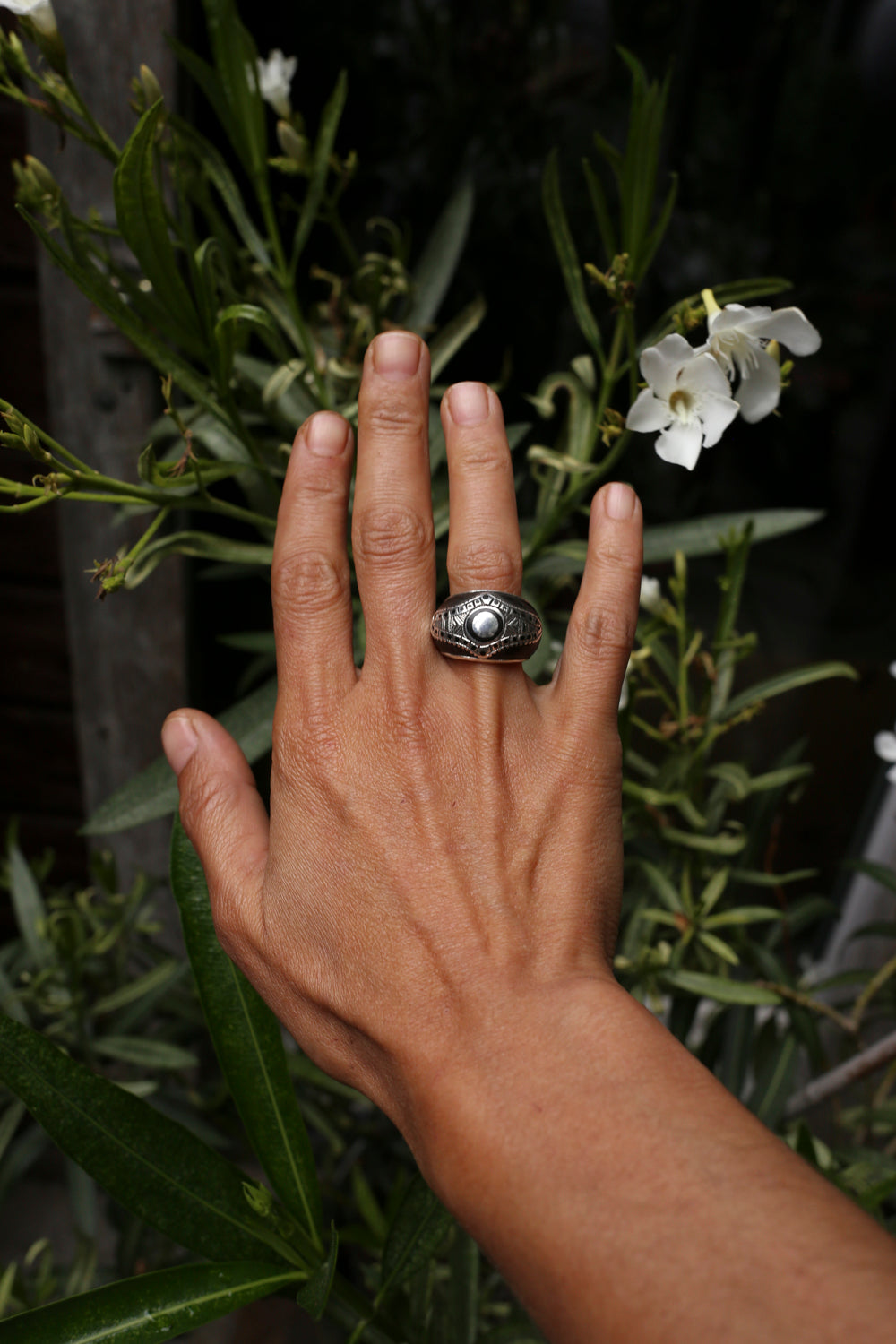 niger jewellery, silver ring, ebony, turang, dotisutra