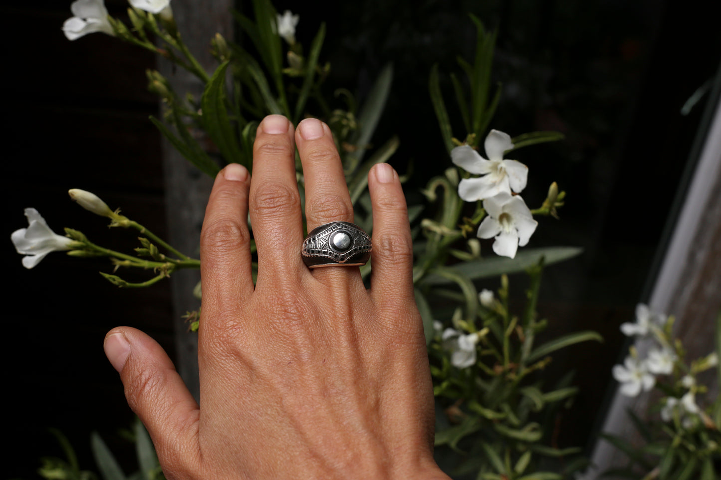 niger jewellery, silver ring, ebony, turang, dotisutra
