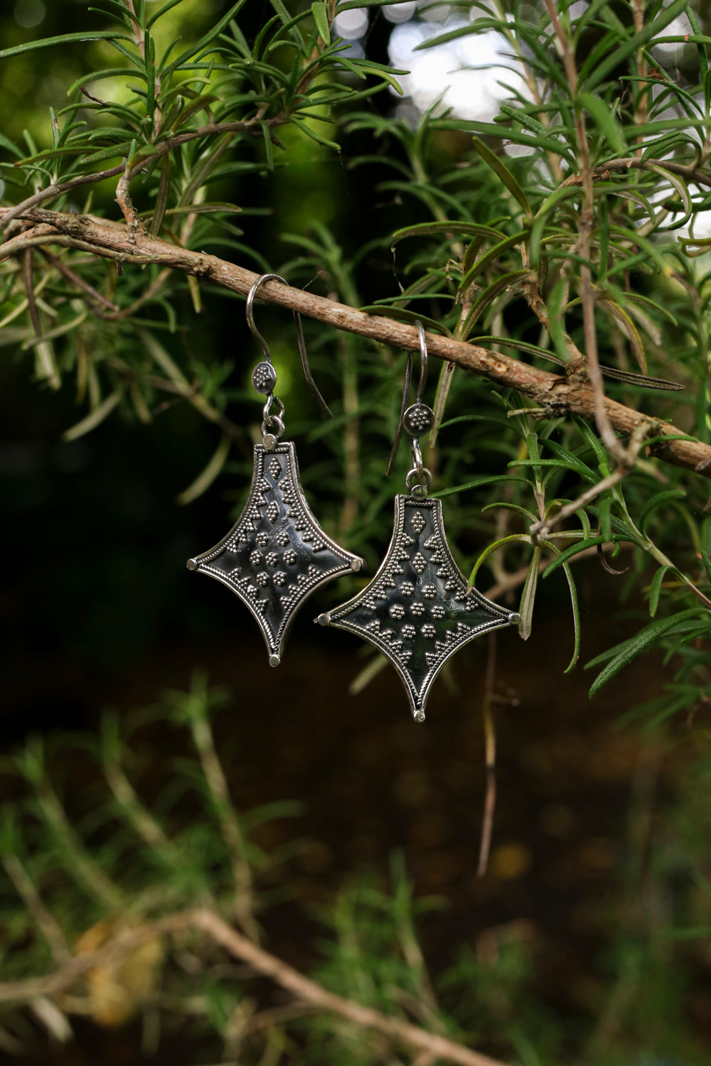 Boucles d'oreilles argentées III