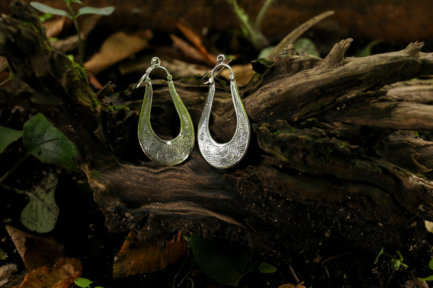 Silver hoop earrings on a rustic wooden log with natural background