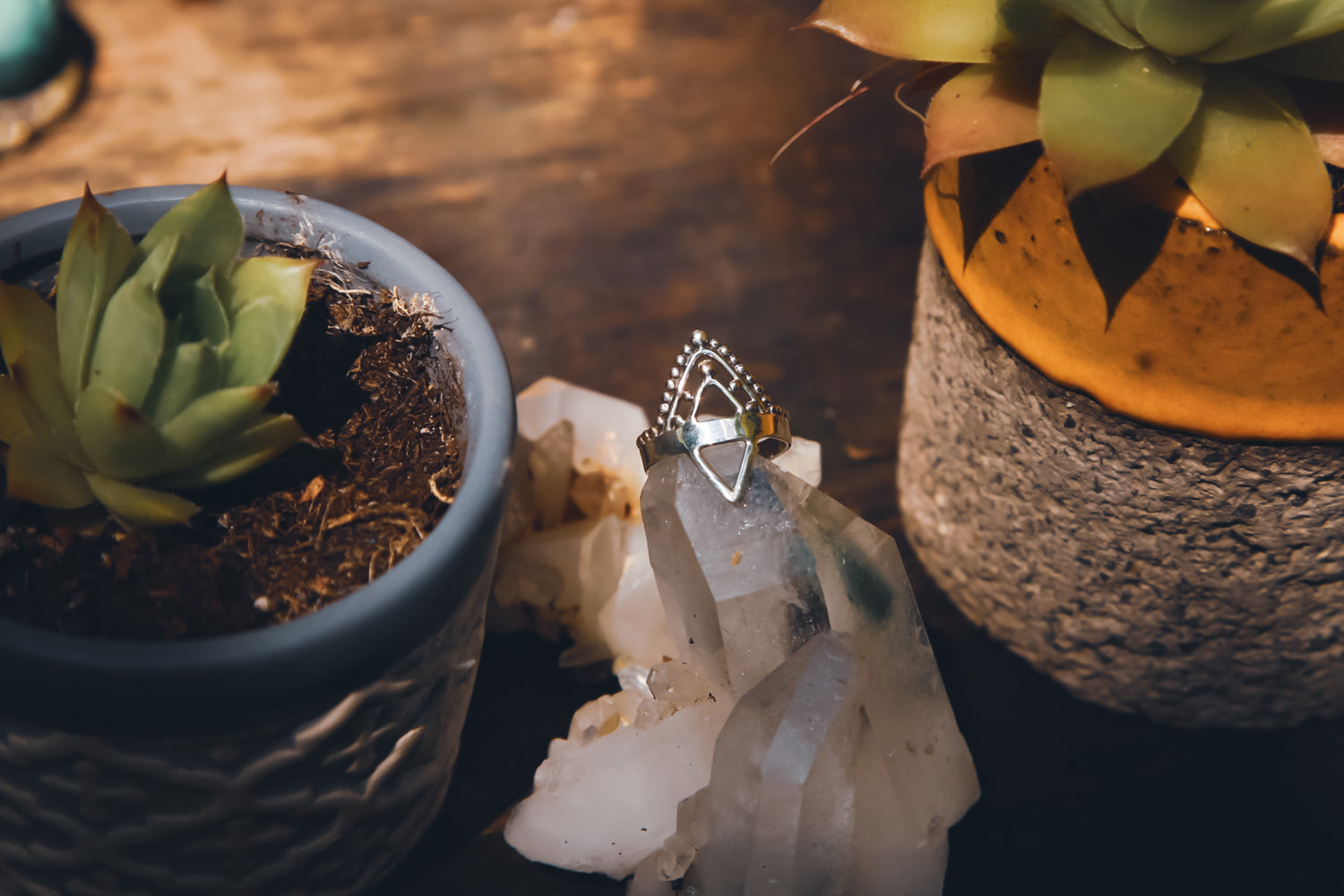 Ornament Ring III - dotisutra