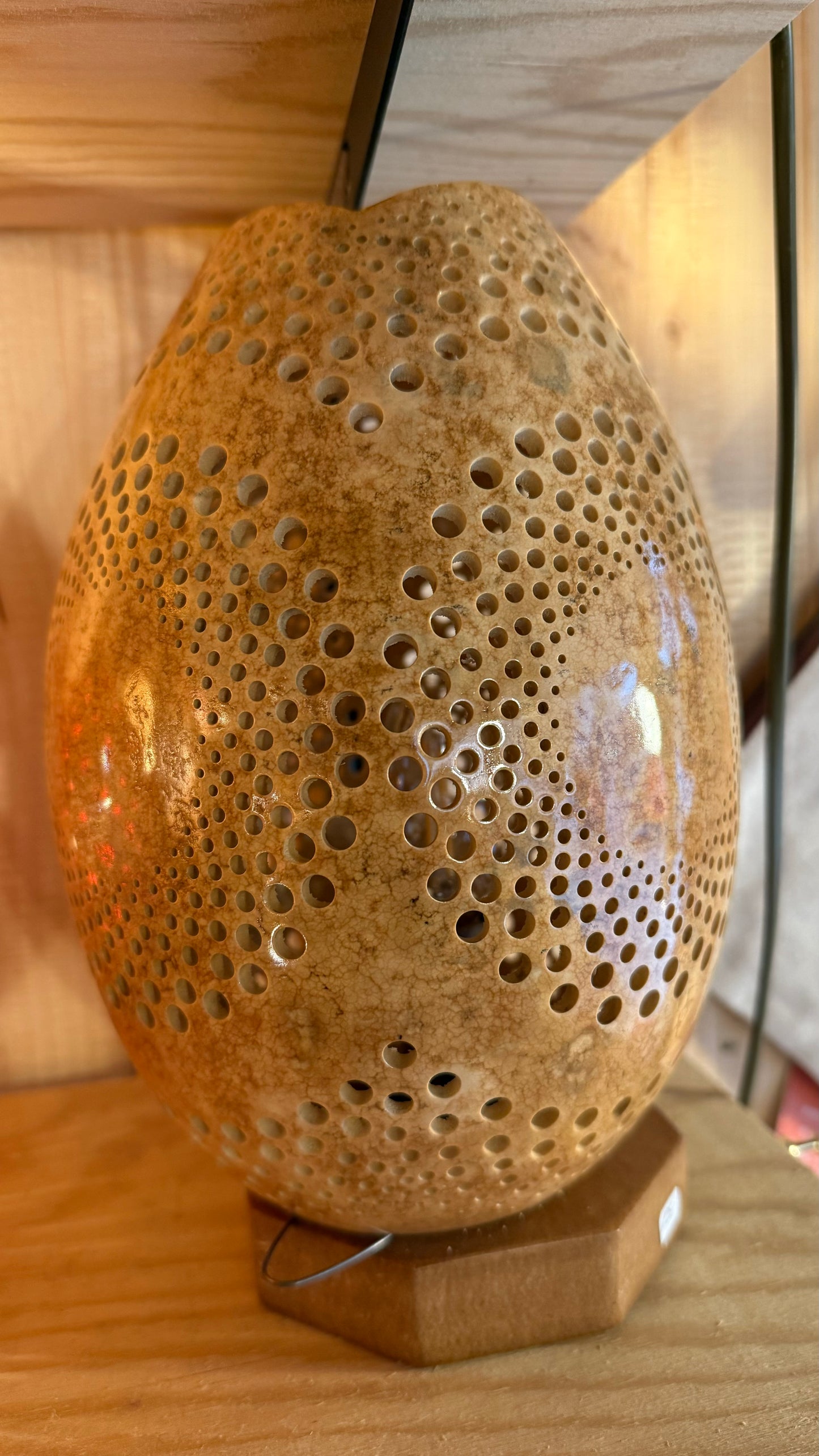 Nature's Beauty Gourd Lamp