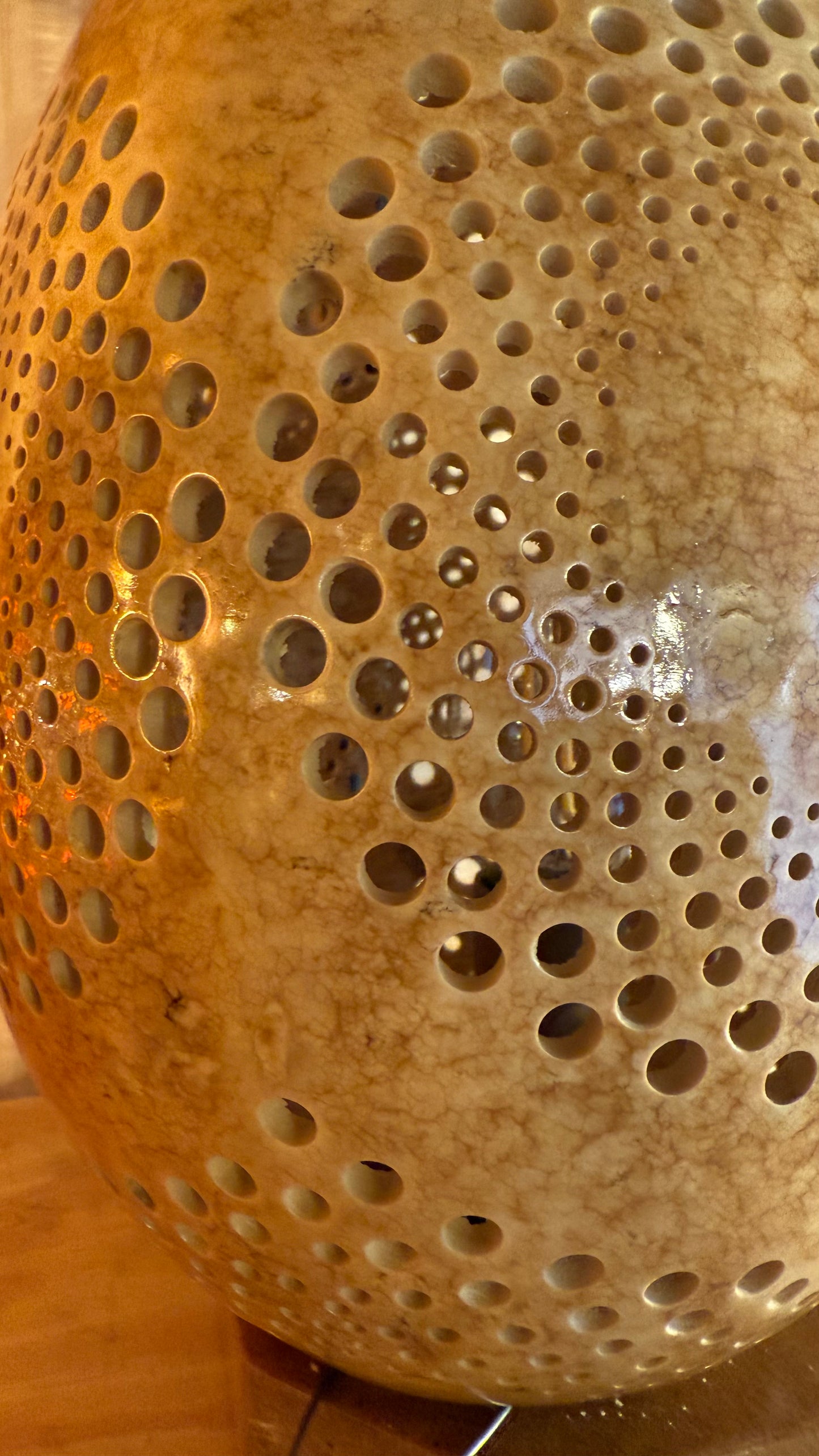 Nature's Beauty Gourd Lamp