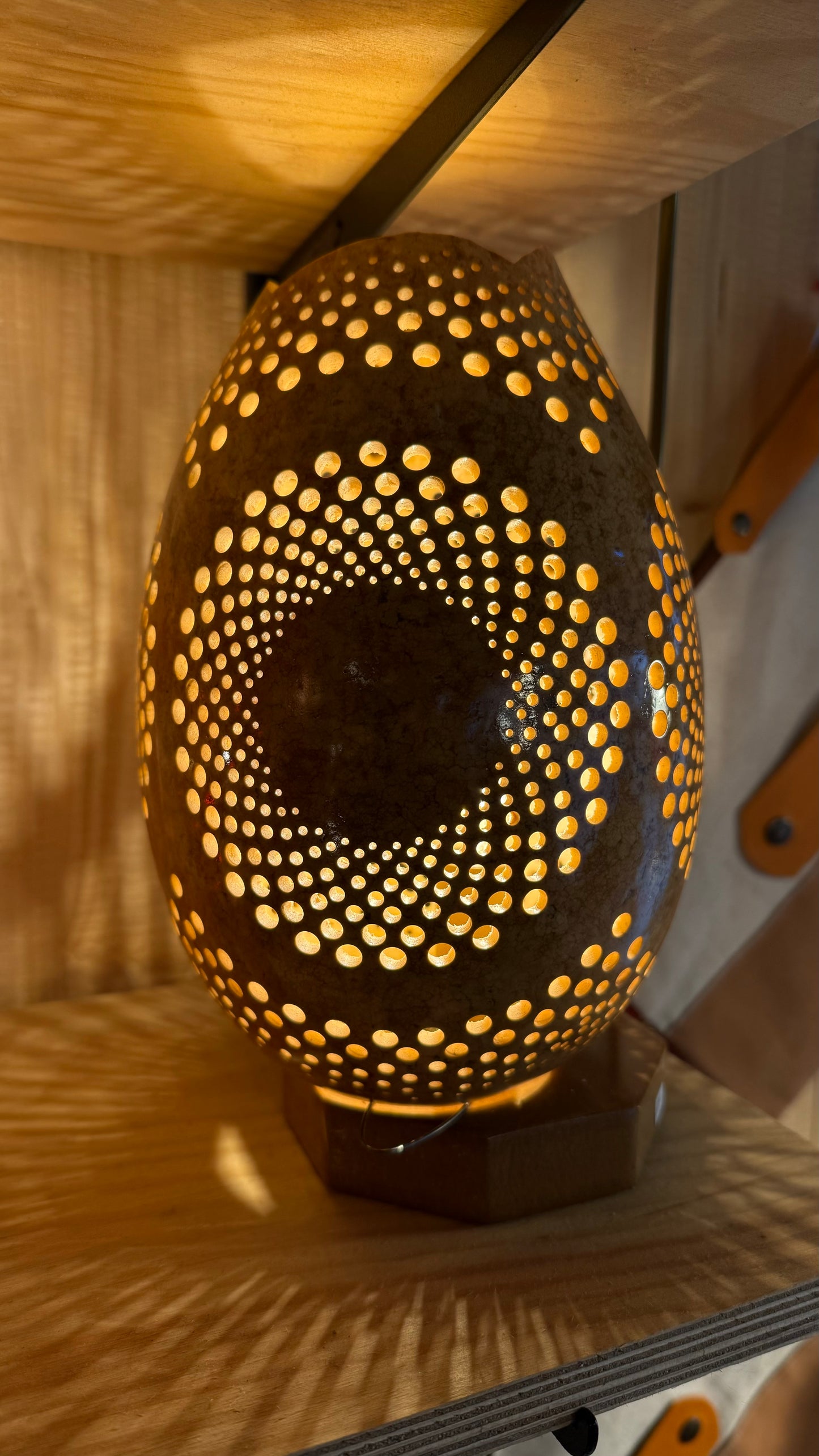 Nature's Beauty Gourd Lamp