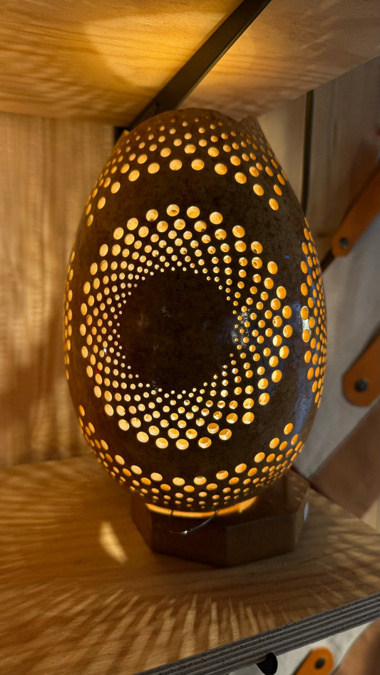 Nature's Beauty Gourd Lamp