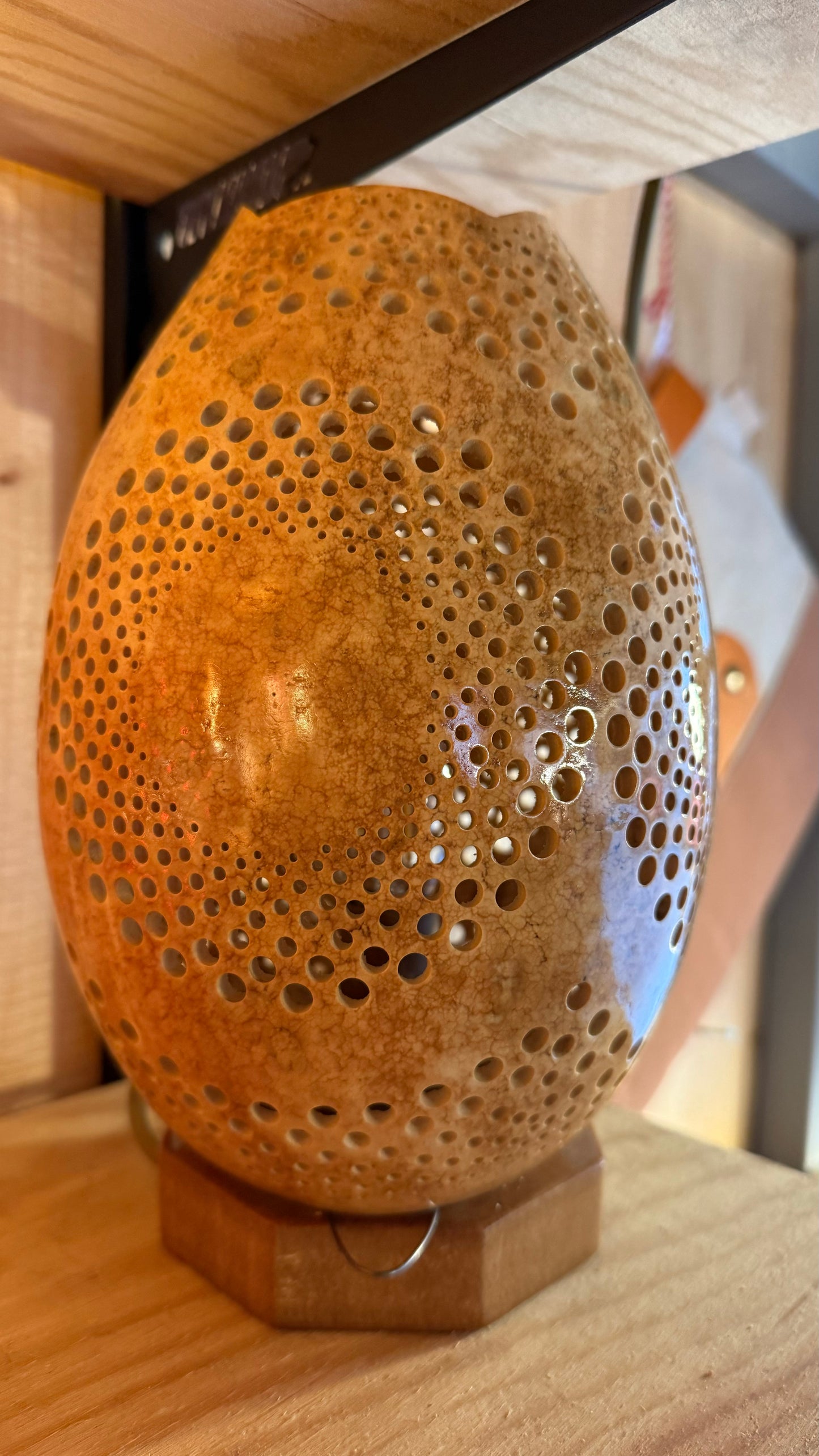 Nature's Beauty Gourd Lamp