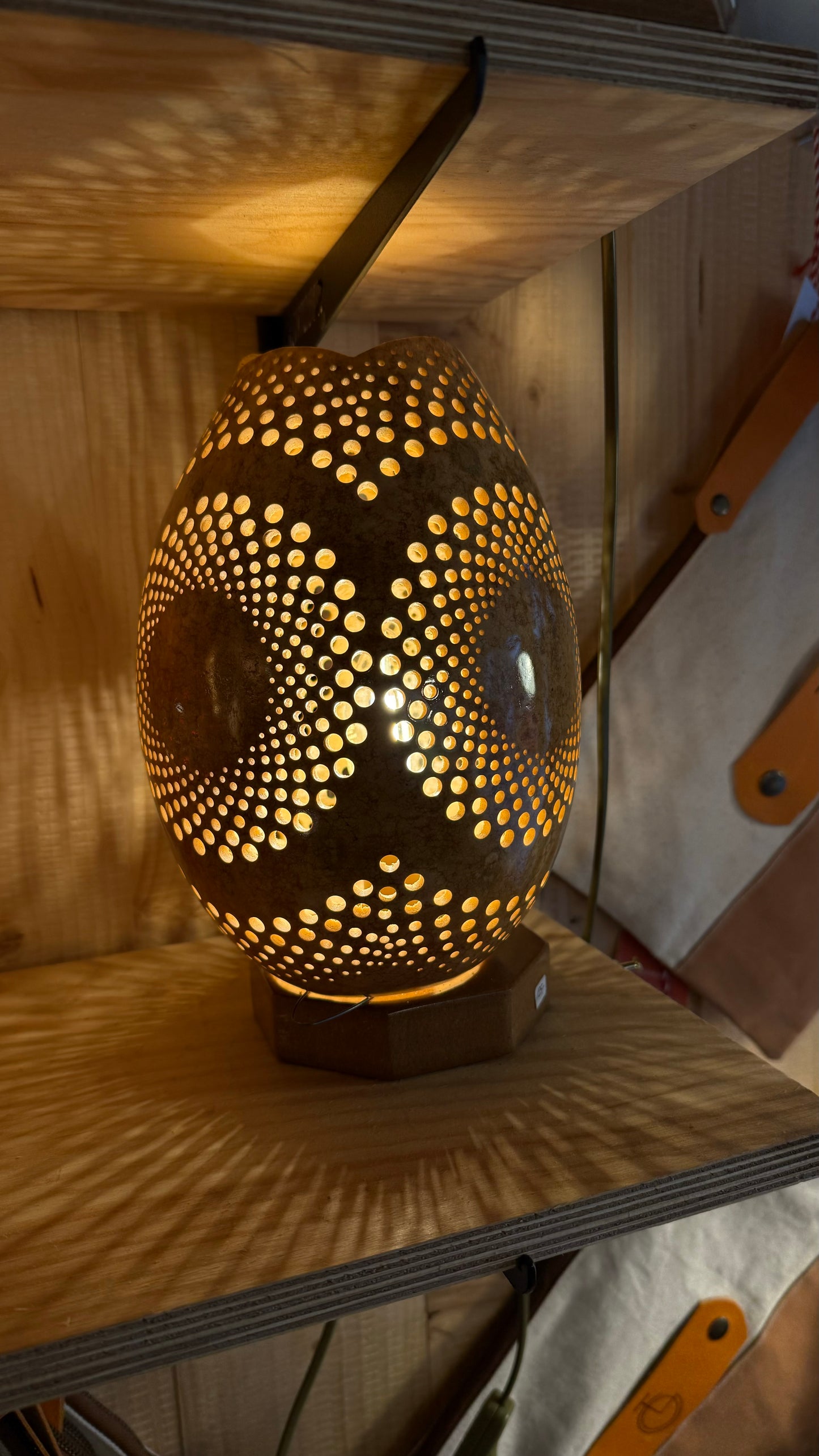 Nature's Beauty Gourd Lamp