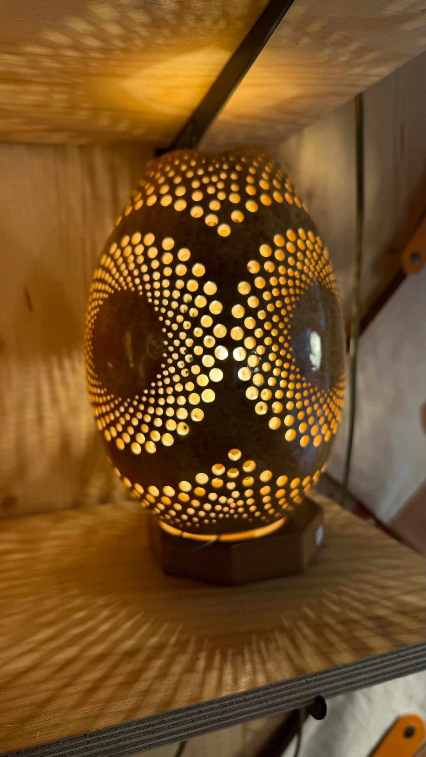 Nature's Beauty Gourd Lamp