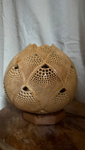 Nature's Glow Gourd Lamp