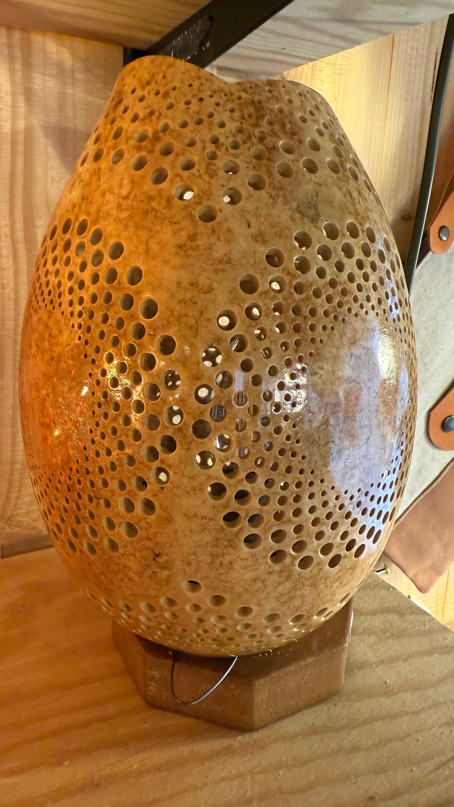 Nature's Beauty Gourd Lamp