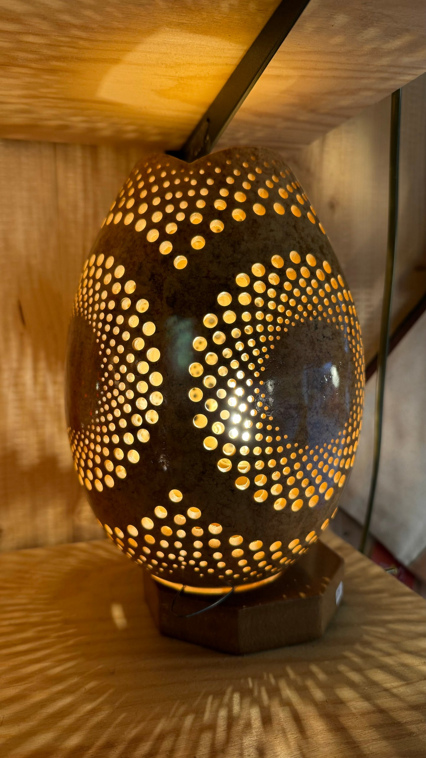 Nature's Beauty Gourd Lamp