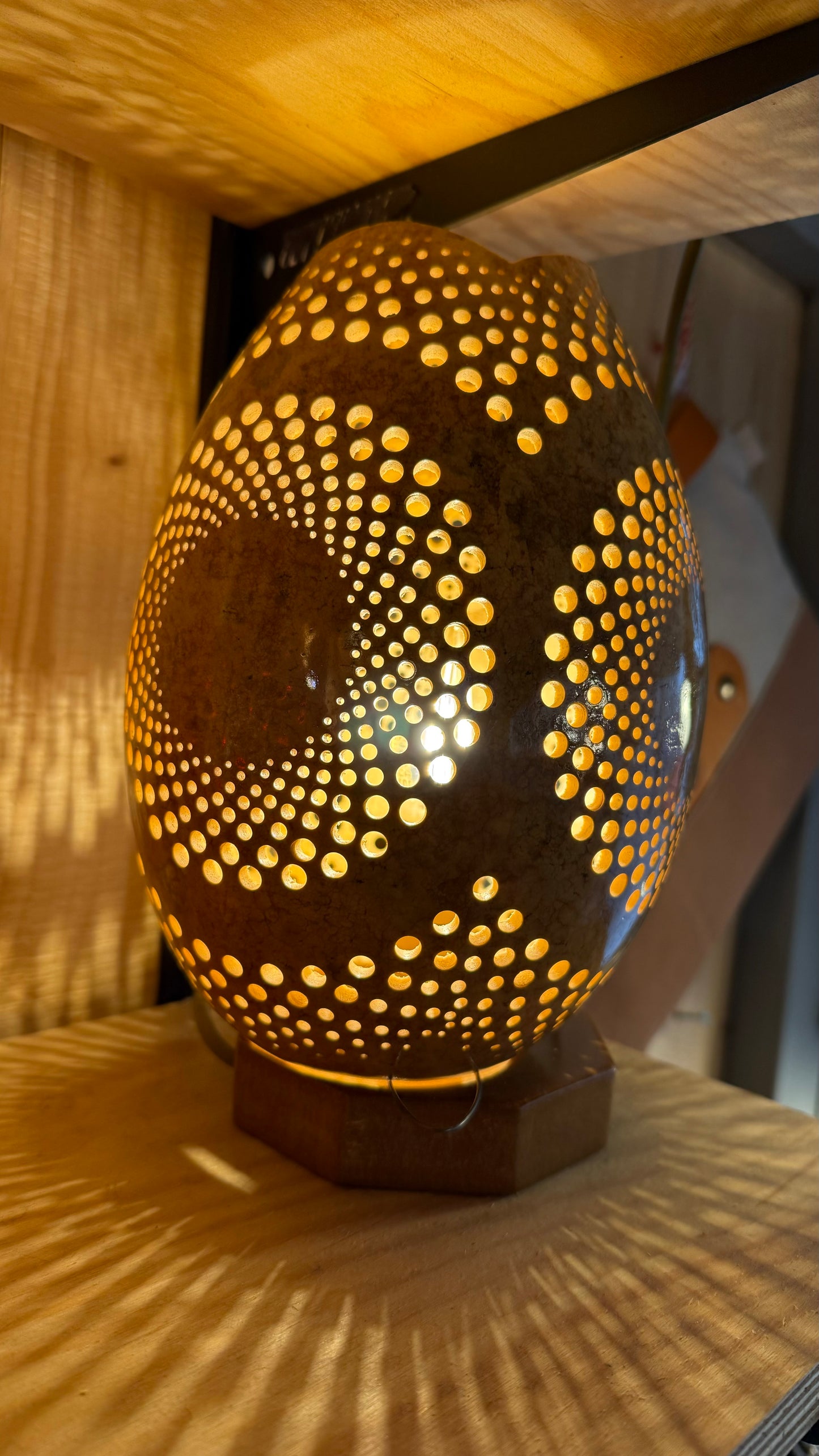Nature's Beauty Gourd Lamp