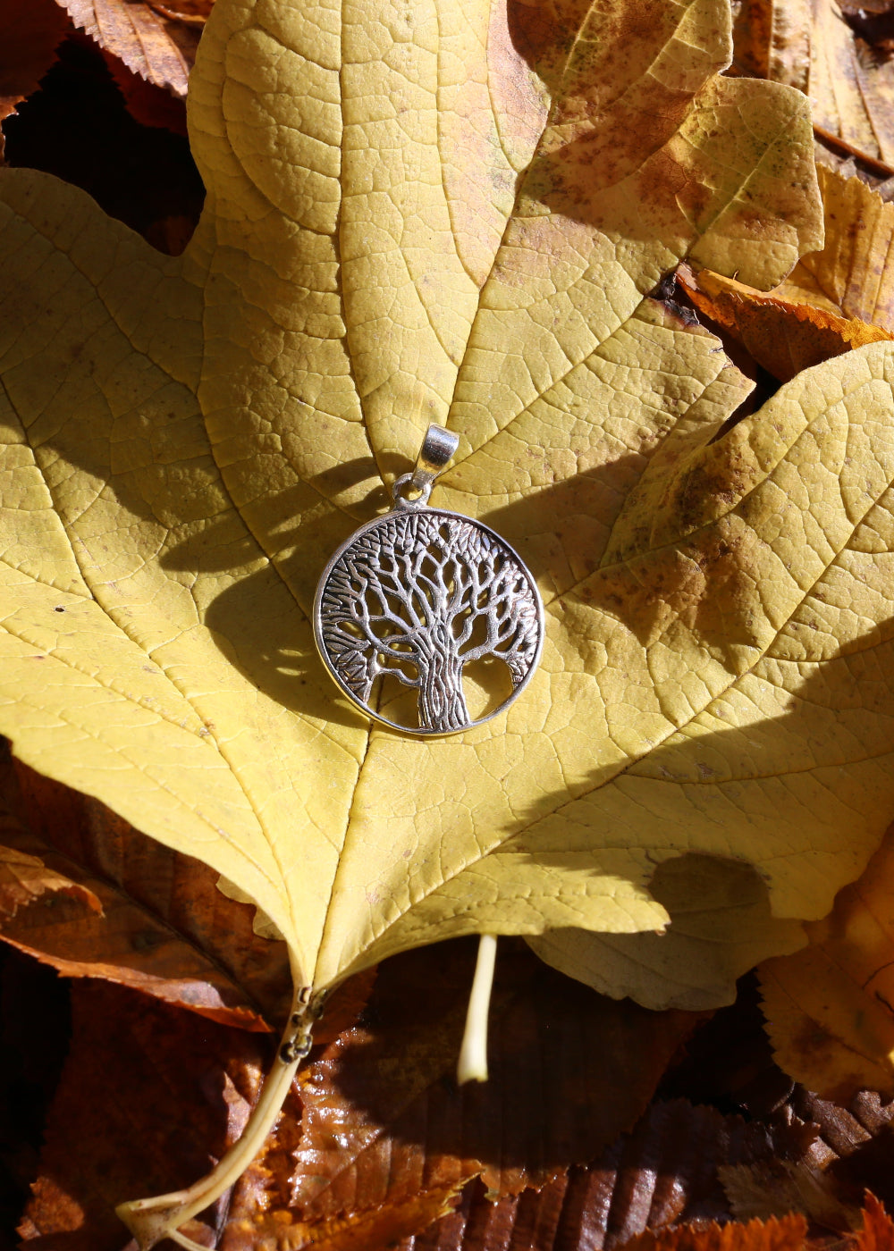 Silver tree pendant on a yellow leaf surrounded by autumn leaves
