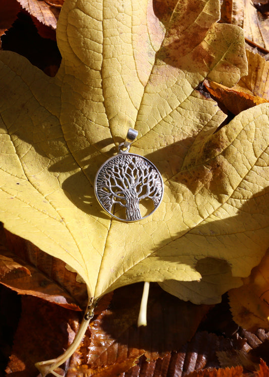 Silver tree pendant on a yellow leaf surrounded by autumn leaves