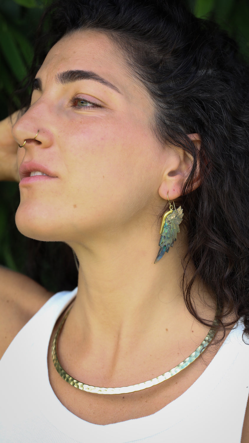 shell earrings