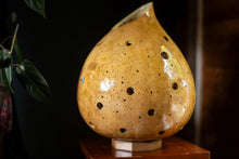 Chargez l&#39;image dans la visionneuse de la galerie, Calabash lamps, online sale, Switzerland, decorative lighting, handmade lamps, unique designs, ambient illumination, gourd artistry, Swiss decor, artisanal lighting, crafted elegance, Swiss interiors, natural ambiance, buy calabash lamps, Swiss craftsmanship, interior design, lighting fixtures, Swiss home decor, shopping online, authentic gourd lamps.