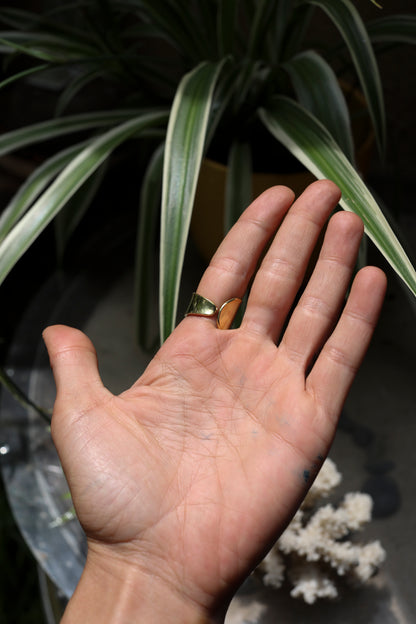 Brass Band Ring