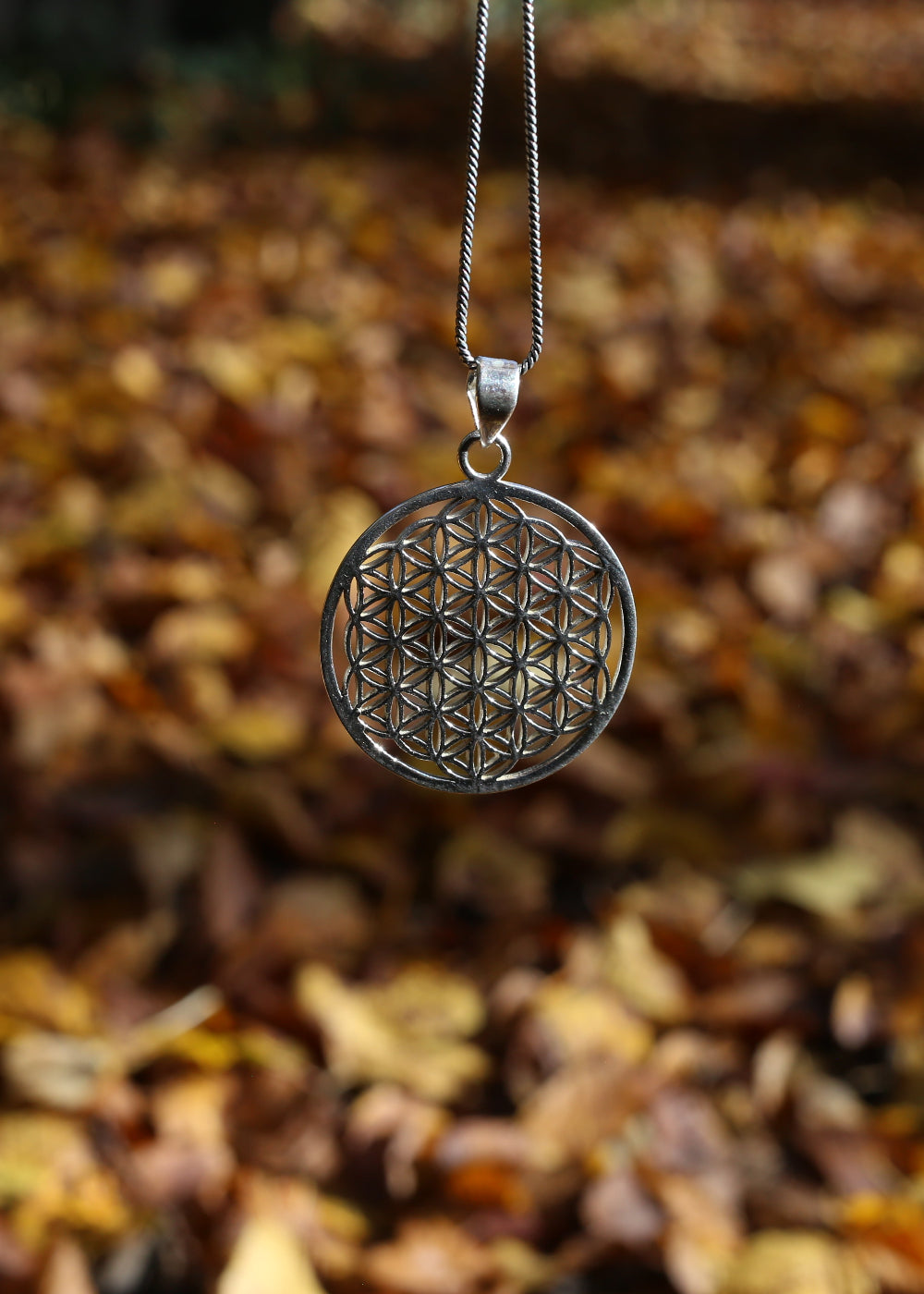 Silver pendant with flower of life design on a chain against a background of autumn leaves.
