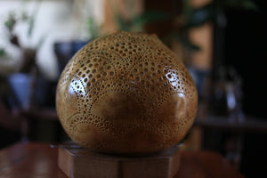 Gourd lamp, home decor, lighting, Handcrafted, artisanal, ambiance, Bodrum-inspired, coastal charm, natural beauty, Unique design, elegance.