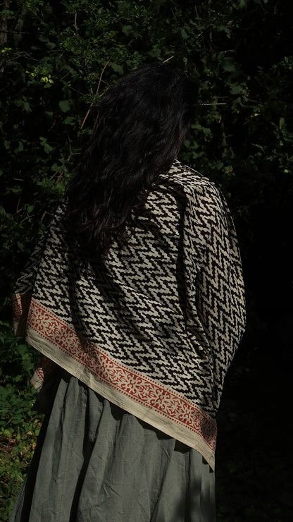 Indian Cotton Scarf VII