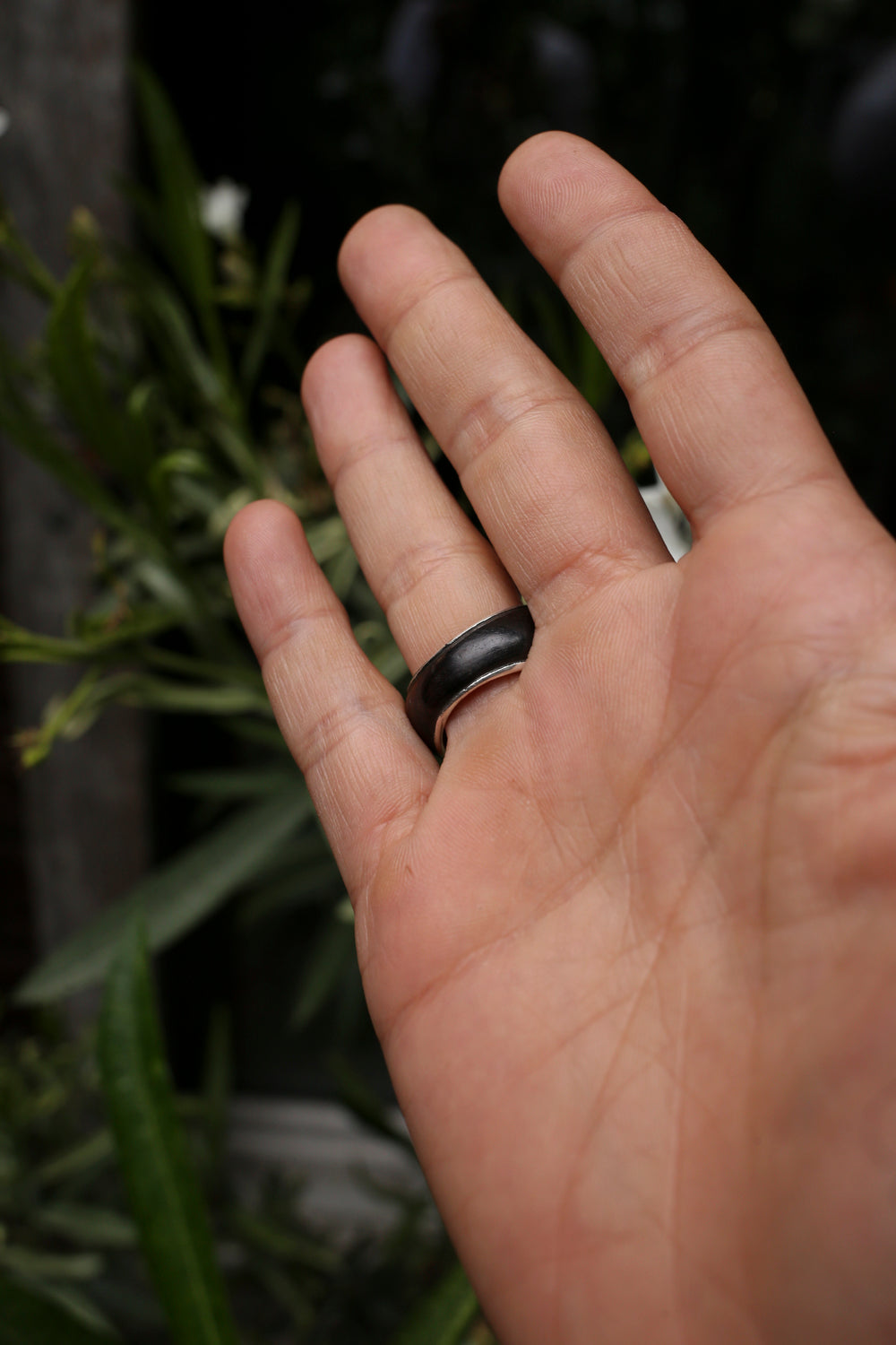 niger jewellery, silver ring, ebony, turang, dotisutra