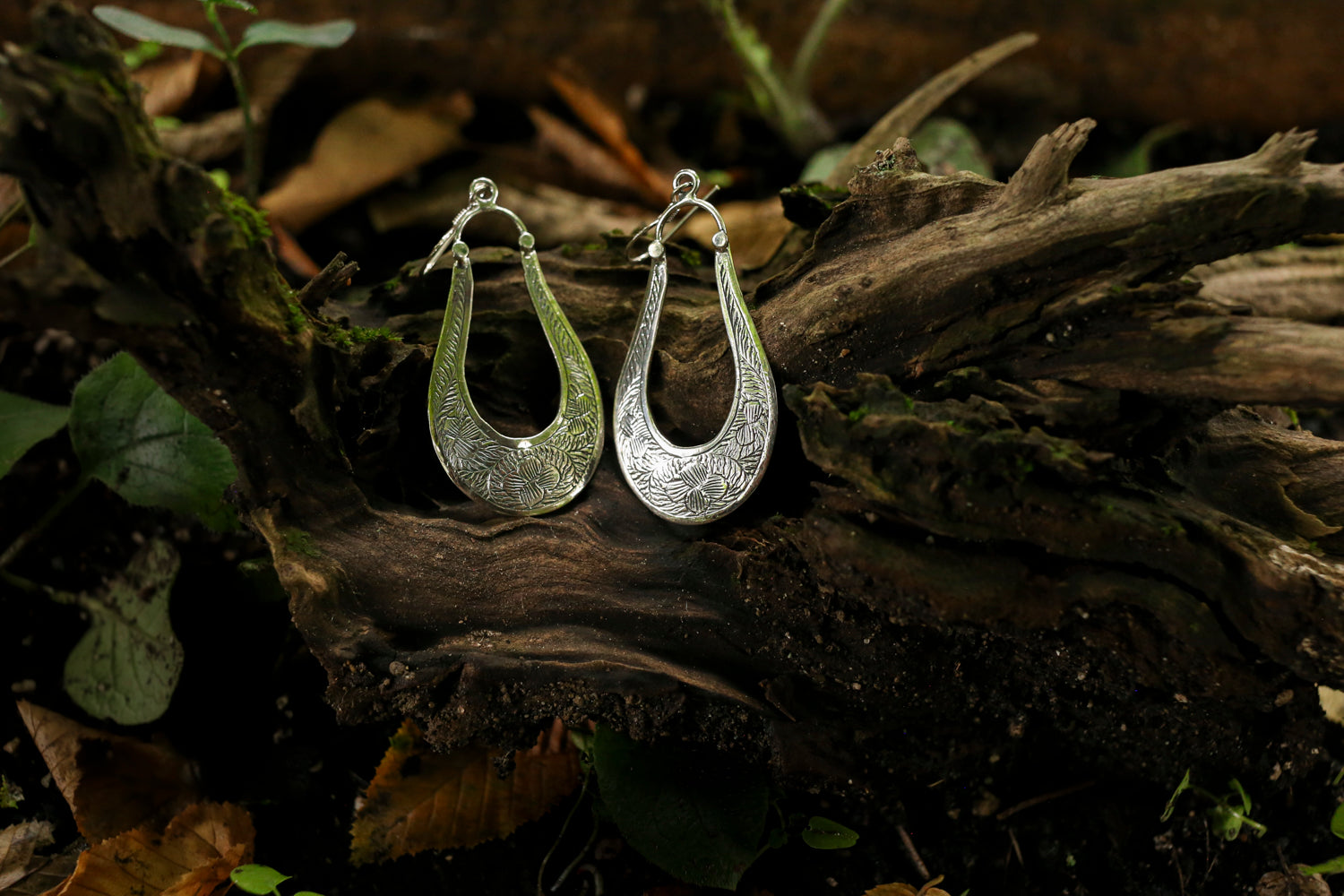 Silver hoop earrings on a rustic wooden log with natural background