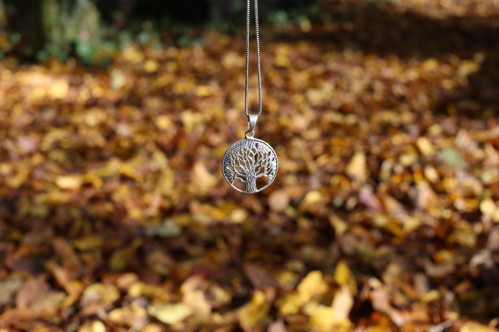 Silver necklace with a tree-of-life pendant on a background of autumn leaves