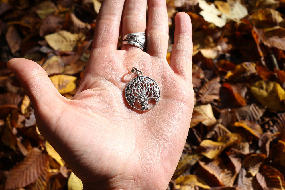 Hand holding a silver tree-shaped pendant with autumn leaves in the background