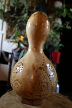 Load image into Gallery viewer, calabash, lamp, shade, handmade lamp, gourd lamp switzerland, doti sutra, gourds