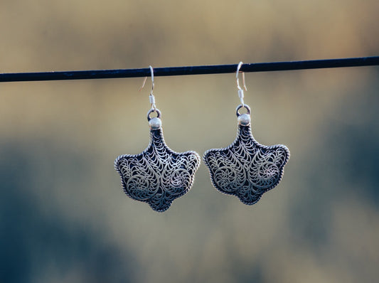 silver earrings