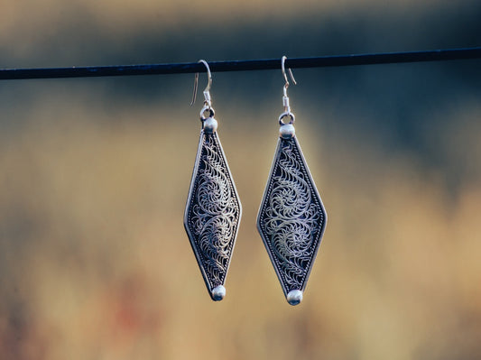 silver earrings